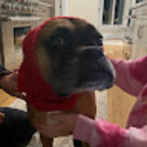 Meet your Posher, Chloe